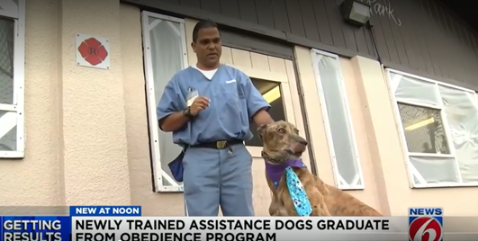 Dogs Graduating
